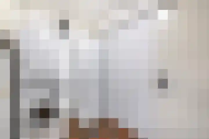 Weidezoom 51 Waddinxveen thumbnail 15