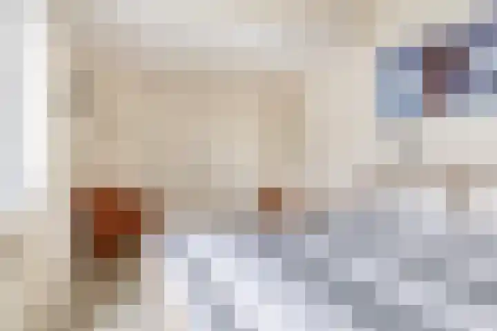 Weidezoom 51 Waddinxveen thumbnail 17
