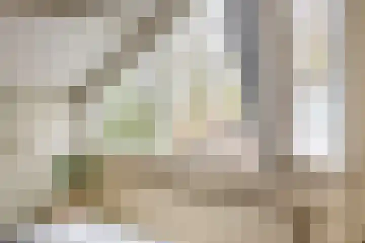 Weidezoom 51 Waddinxveen thumbnail 19