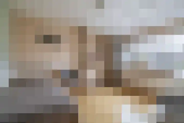 Weidezoom 51 Waddinxveen thumbnail 21