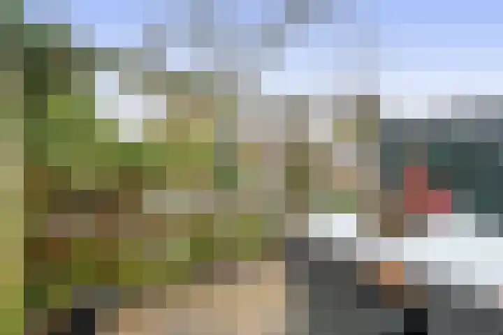 Weidezoom 51 Waddinxveen thumbnail 29