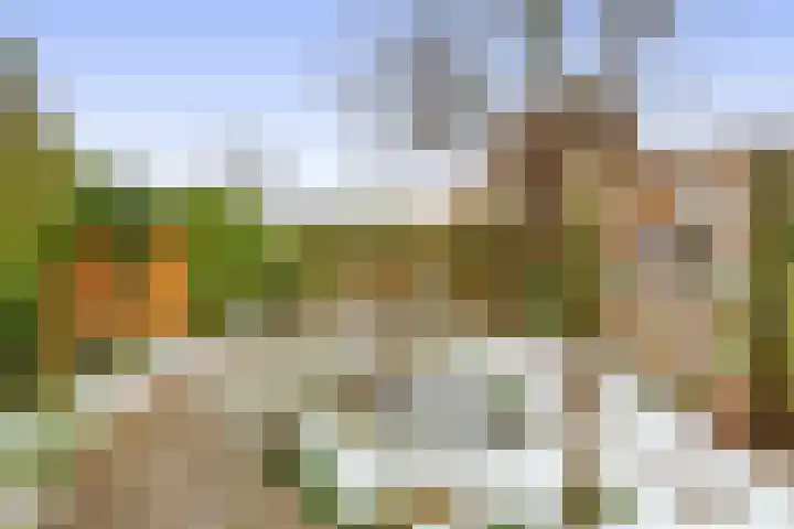 Weidezoom 51 Waddinxveen thumbnail 33