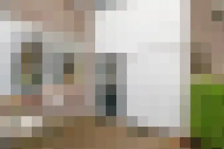Weidezoom 51 Waddinxveen thumbnail 35