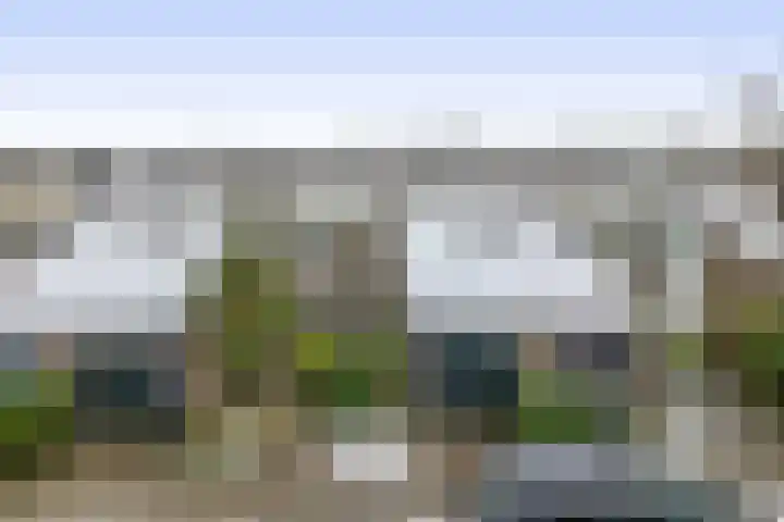 Weidezoom 51 Waddinxveen thumbnail 37
