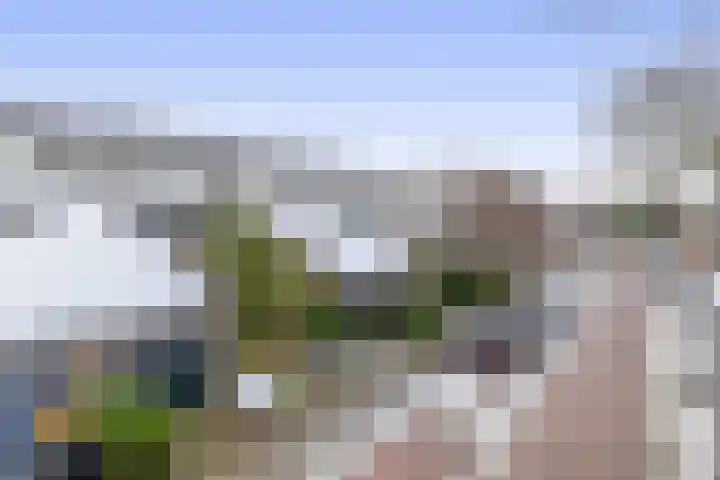 Weidezoom 51 Waddinxveen thumbnail 38