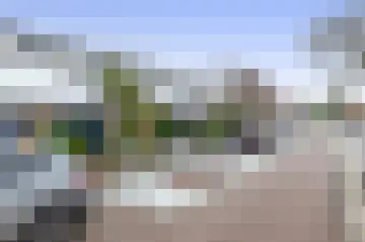 Weidezoom 51 Waddinxveen thumbnail 39