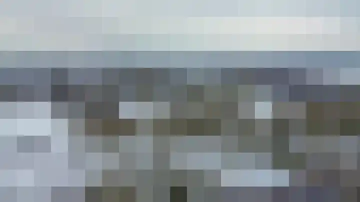 Weidezoom 51 Waddinxveen thumbnail 41