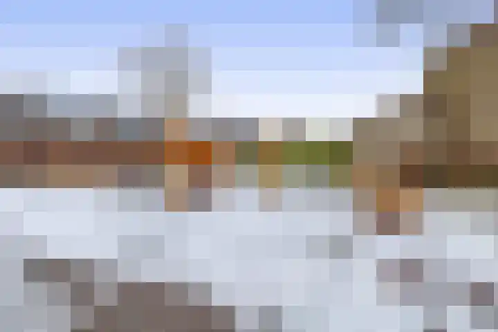 Weidezoom 51 Waddinxveen thumbnail 47