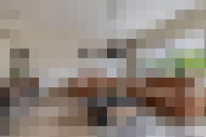 Weidezoom 51 Waddinxveen thumbnail 5
