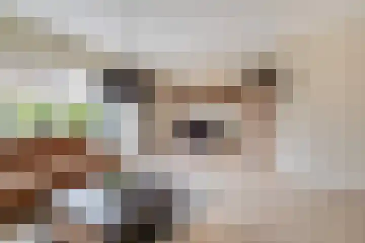 Weidezoom 51 Waddinxveen thumbnail 7