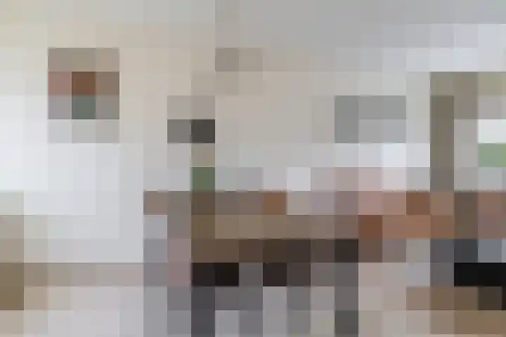 Weidezoom 51 Waddinxveen thumbnail 8