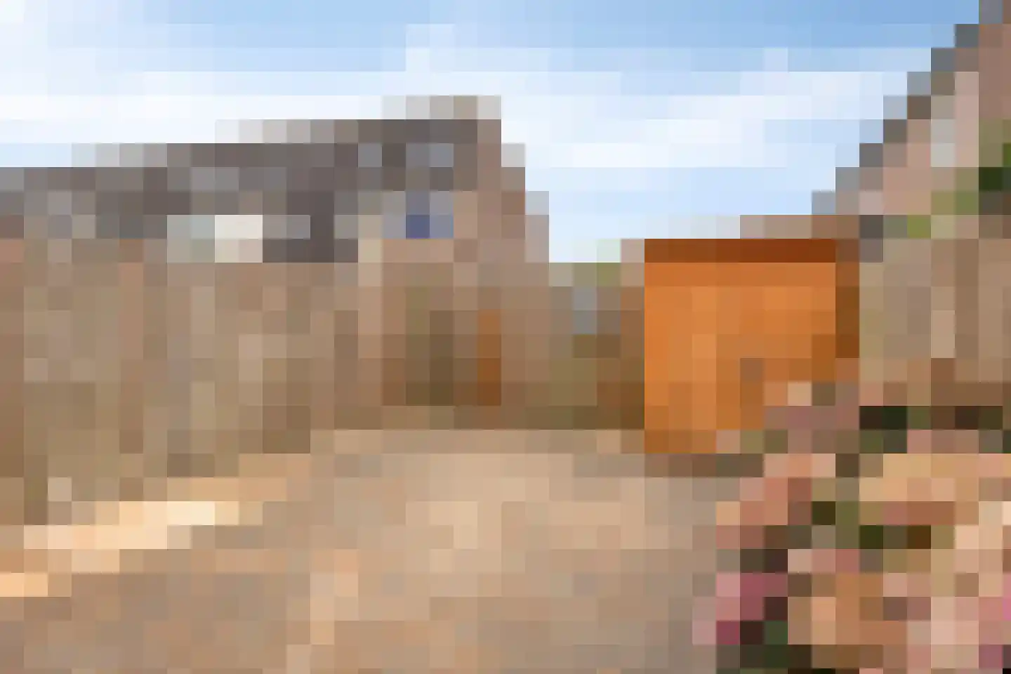Weidezoom 58 Moordrecht thumbnail 12