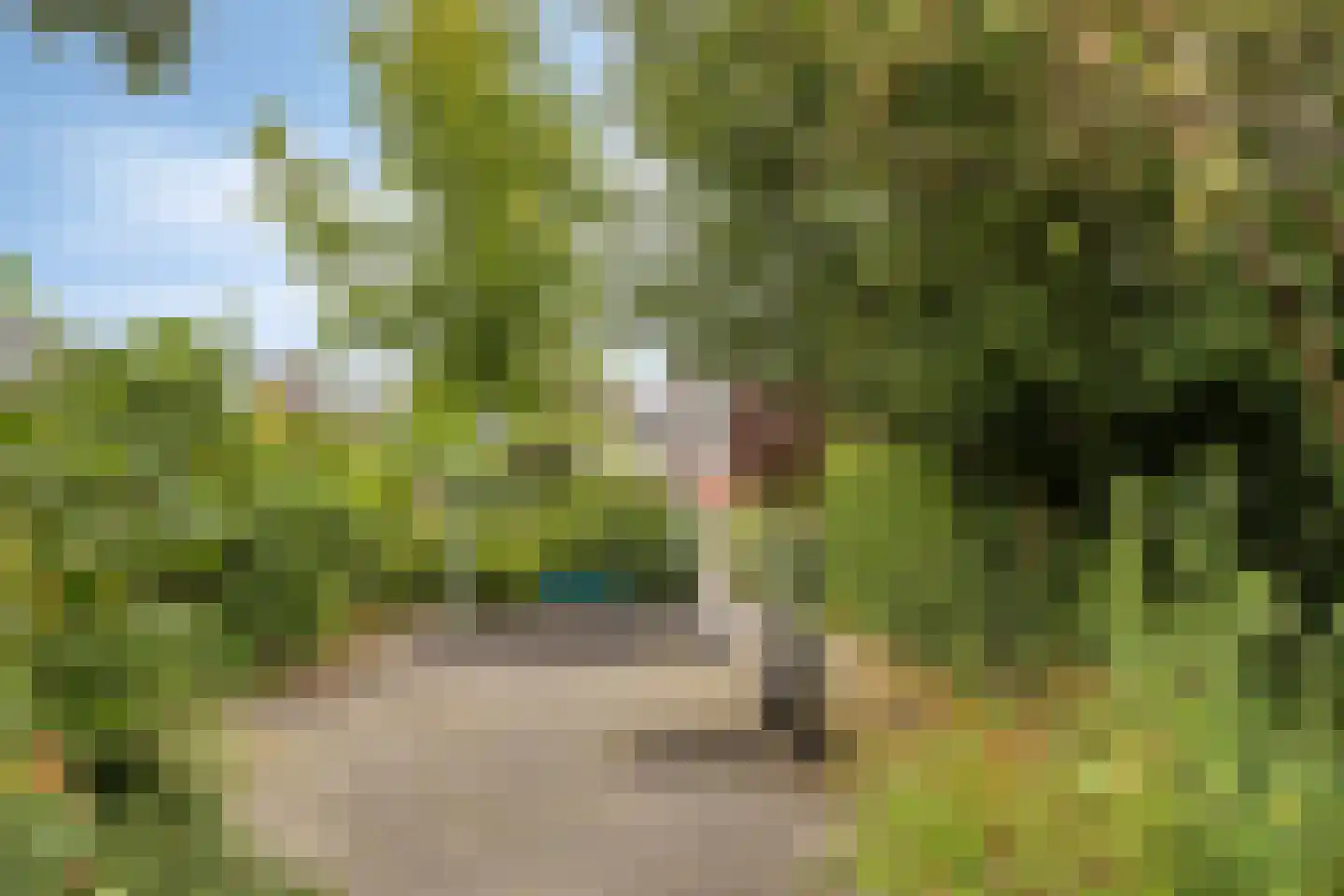Weidezoom 58 Moordrecht thumbnail 28