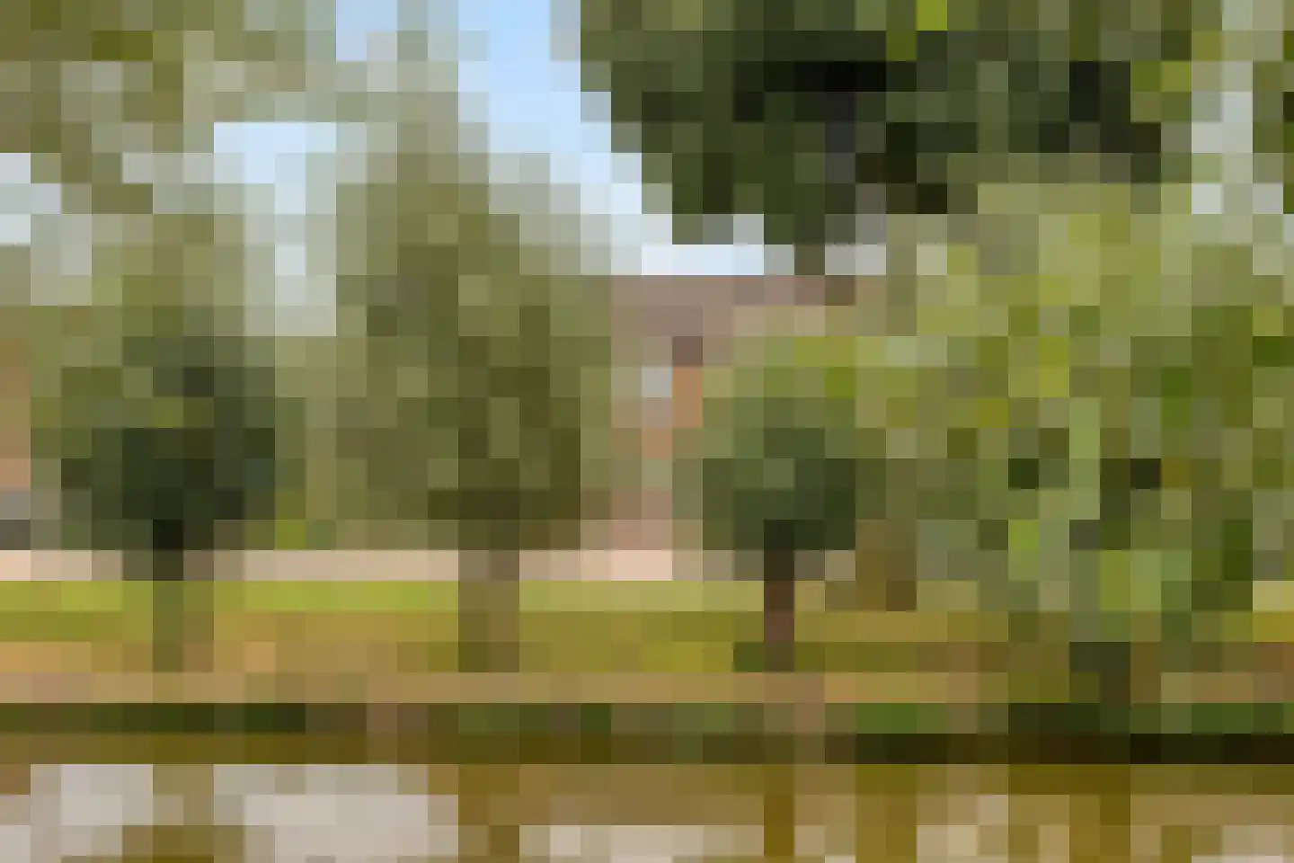 Weidezoom 58 Moordrecht thumbnail 30