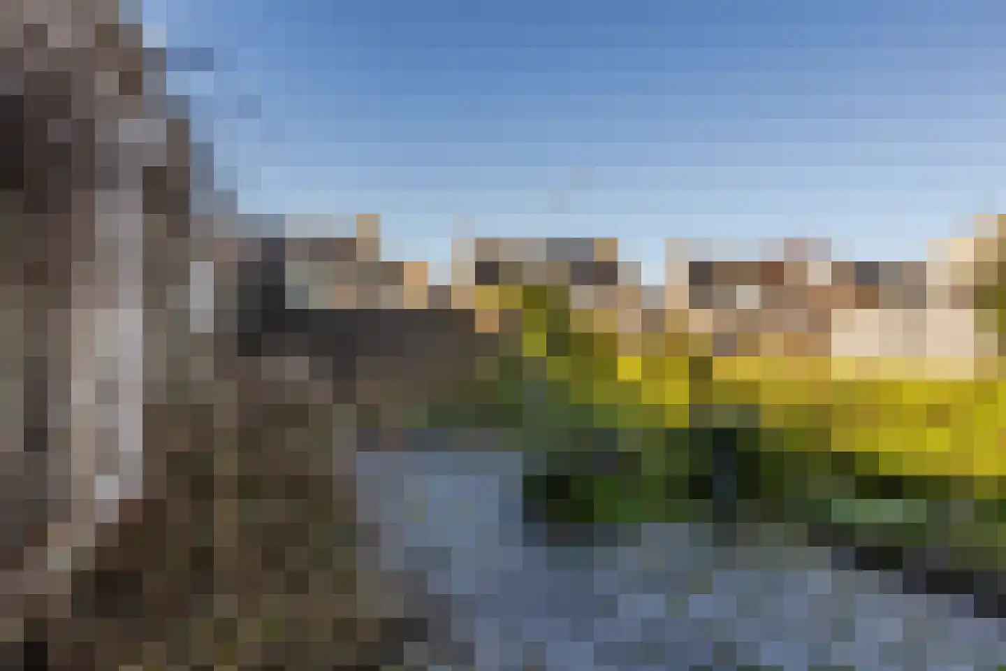 Weidezoom 86 Moordrecht thumbnail 41