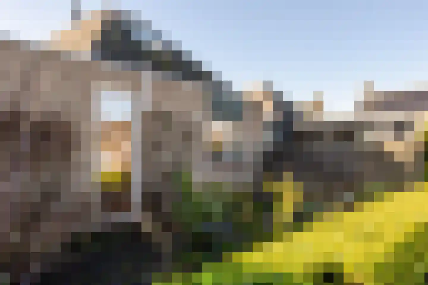 Weidezoom 86 Moordrecht thumbnail 43