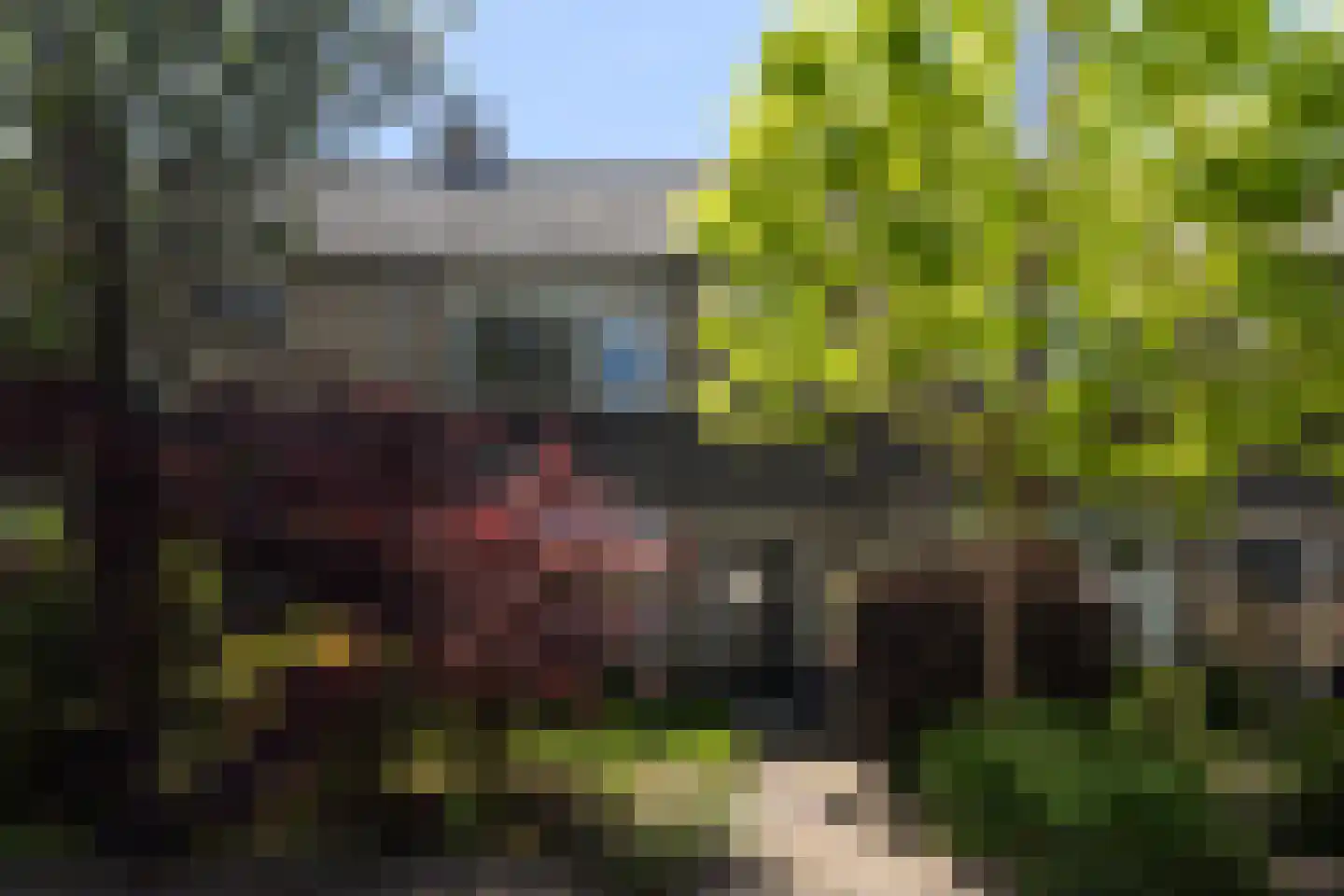 Weidmanlaan 5 Bilthoven thumbnail 5