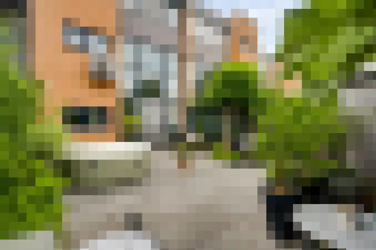Weidmanstraat 42 Maastricht thumbnail 18