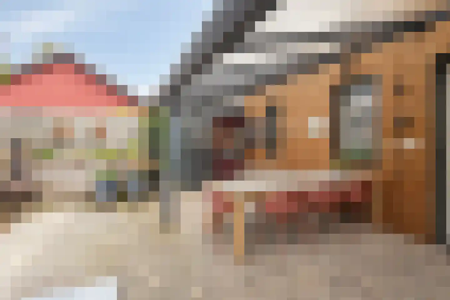 Weidom 4 Sittard thumbnail 31