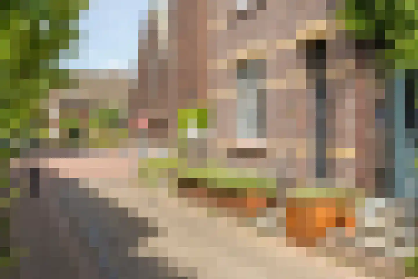 Weidom 4 Sittard thumbnail 40