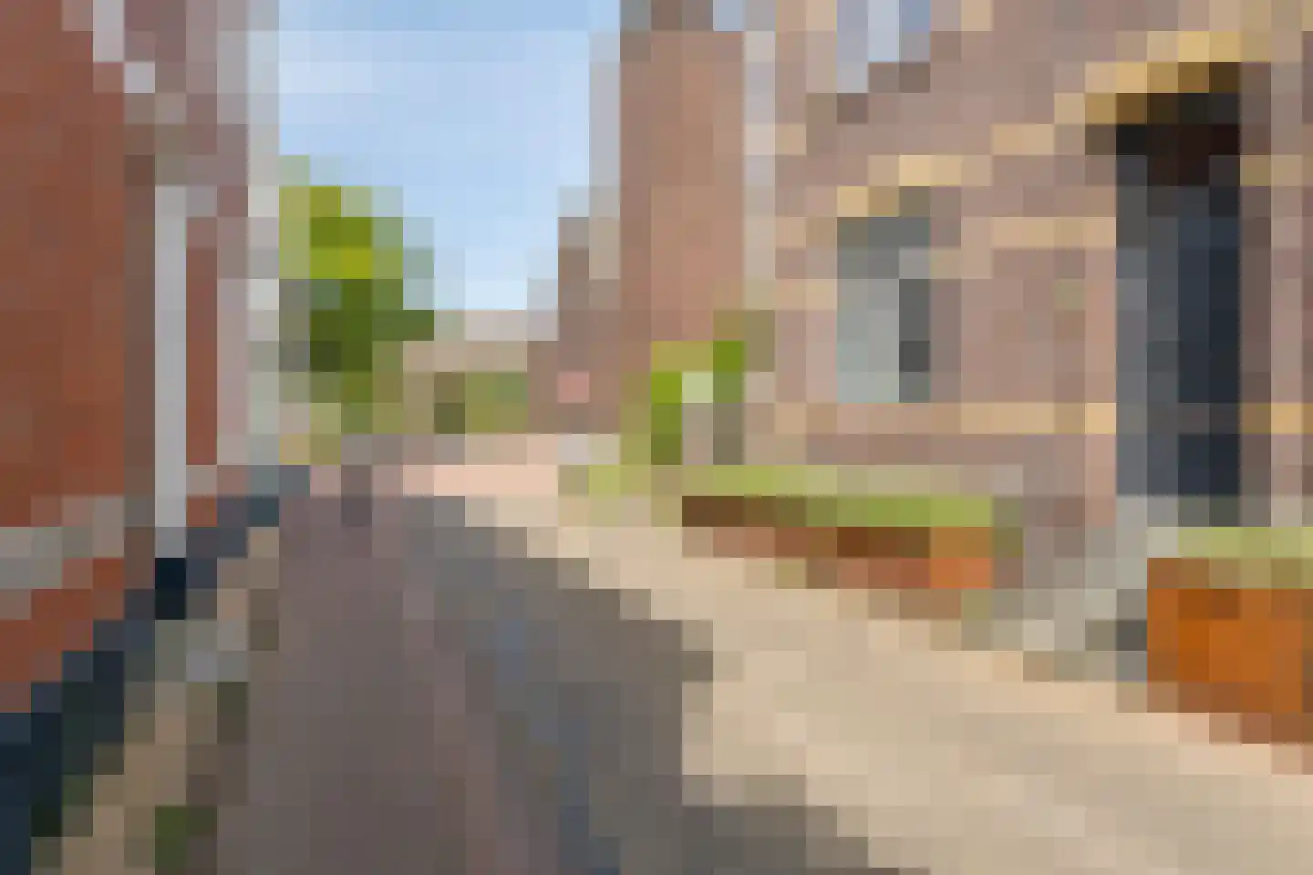 Weidom 4 Sittard thumbnail 43