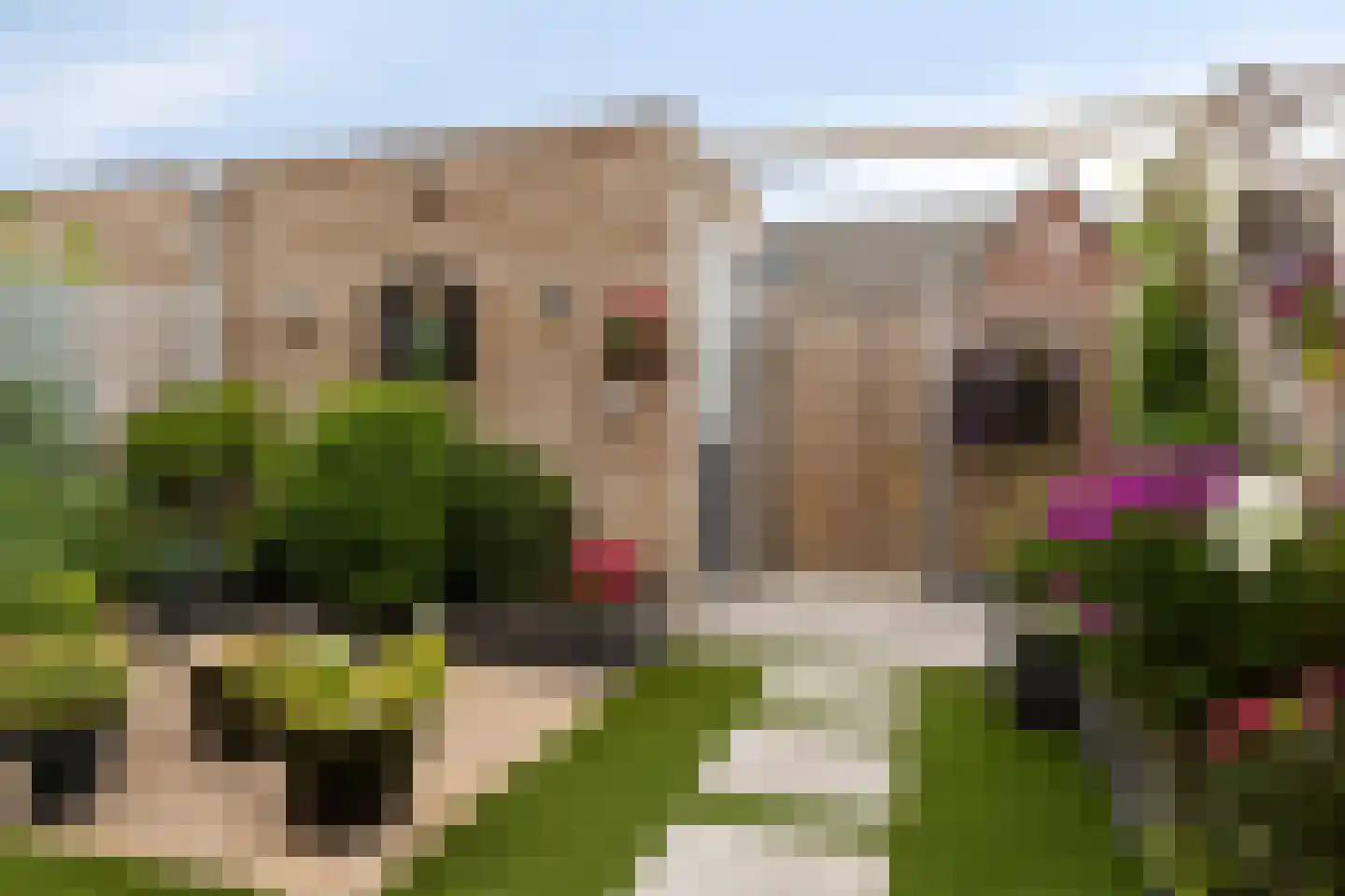 Weidse Wetering 14 Hoogmade thumbnail 12
