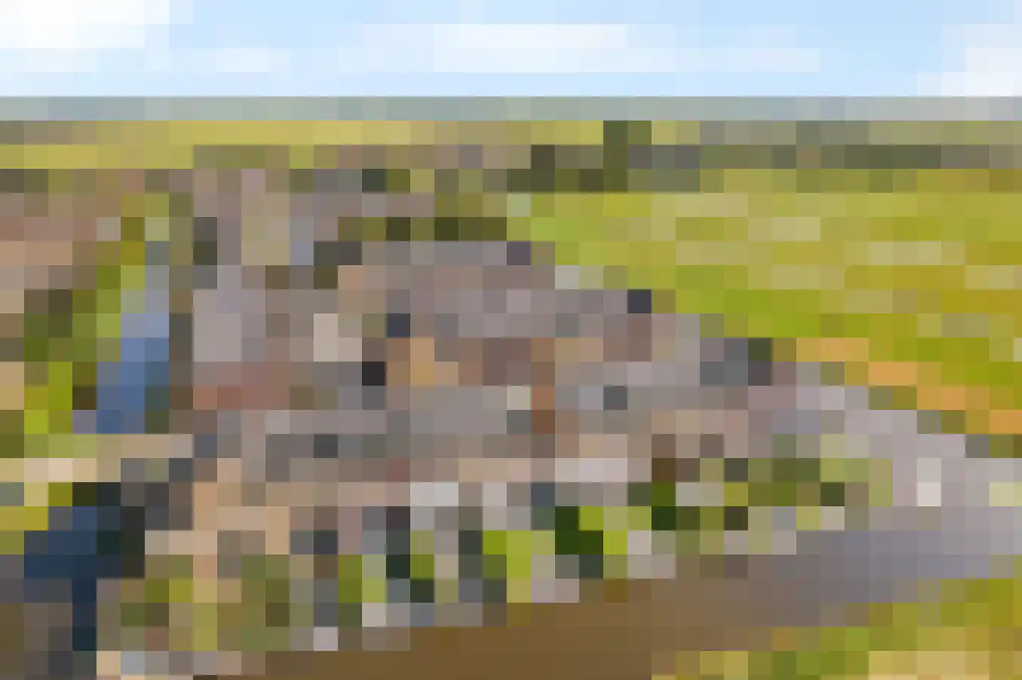 Weidse Wetering 5 Hoogmade thumbnail 7