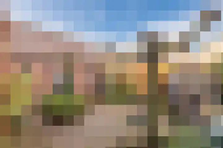 Weidsteeg 12 Culemborg thumbnail 32
