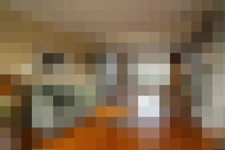 Weidsteeg 14 Culemborg thumbnail 14