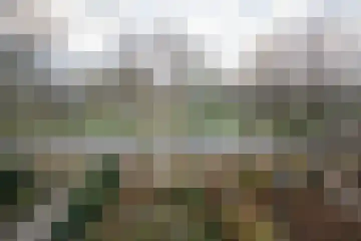 Weidsteeg 14 Culemborg thumbnail 32
