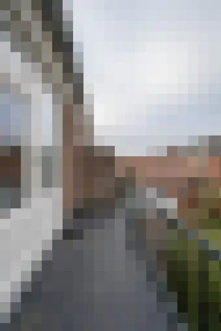 Weidsteeg 14 Culemborg thumbnail 37