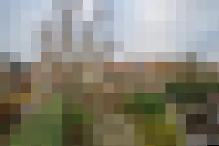 Weidsteeg 14 Culemborg thumbnail 38