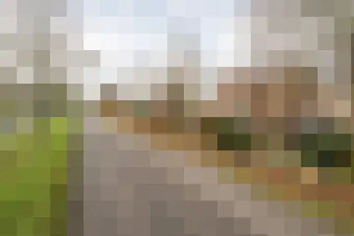 Weidsteeg 14 Culemborg thumbnail 52