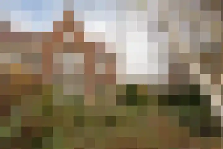 Weidsteeg 14 Culemborg thumbnail 54