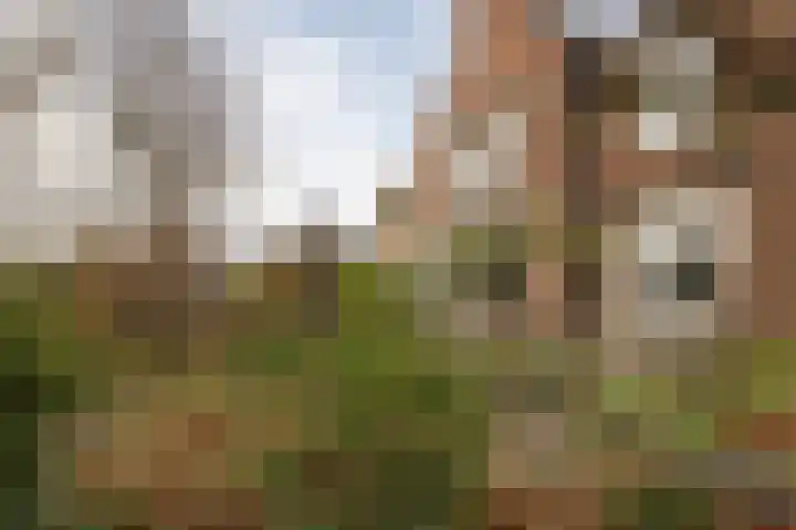 Weidsteeg 14 Culemborg thumbnail 55