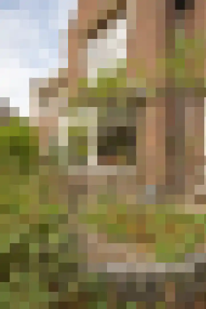 Weidsteeg 14 Culemborg thumbnail 56