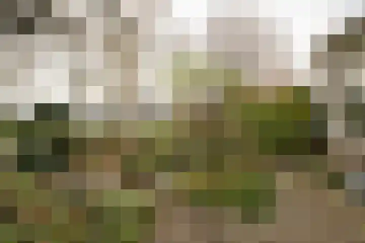 Weidsteeg 14 Culemborg thumbnail 57