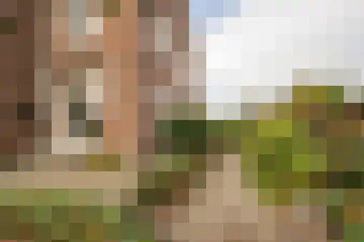 Weidsteeg 14 Culemborg thumbnail 58