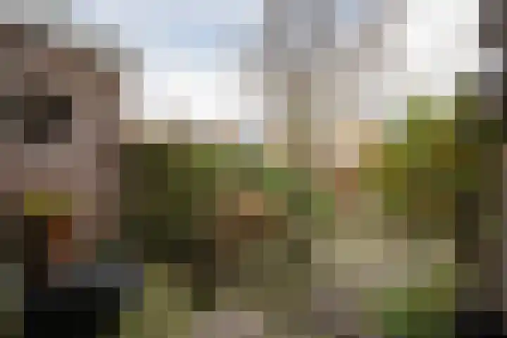 Weidsteeg 14 Culemborg thumbnail 59