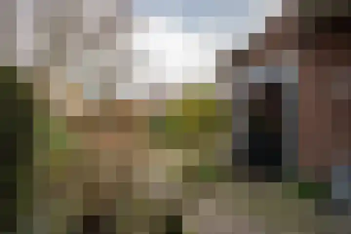 Weidsteeg 14 Culemborg thumbnail 60