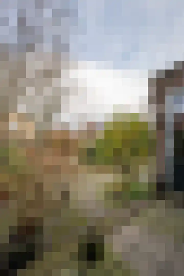 Weidsteeg 14 Culemborg thumbnail 61