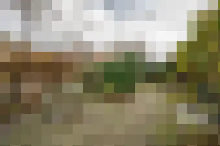 Weidsteeg 14 Culemborg thumbnail 63