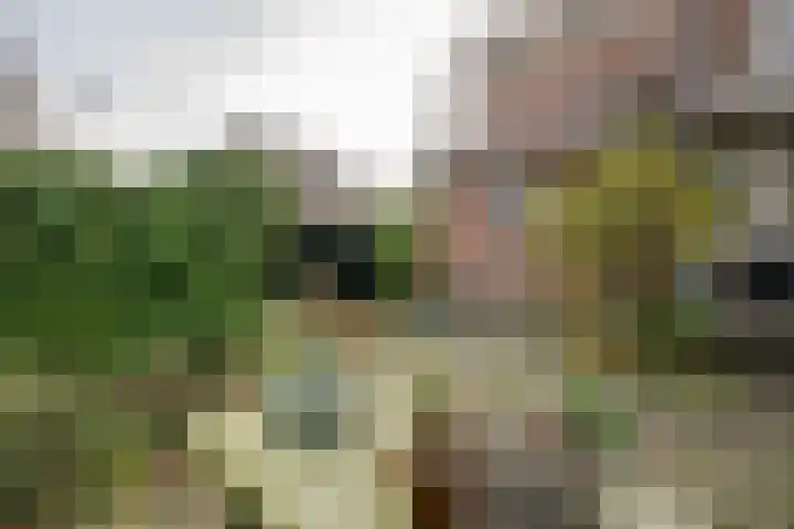 Weidsteeg 14 Culemborg thumbnail 64