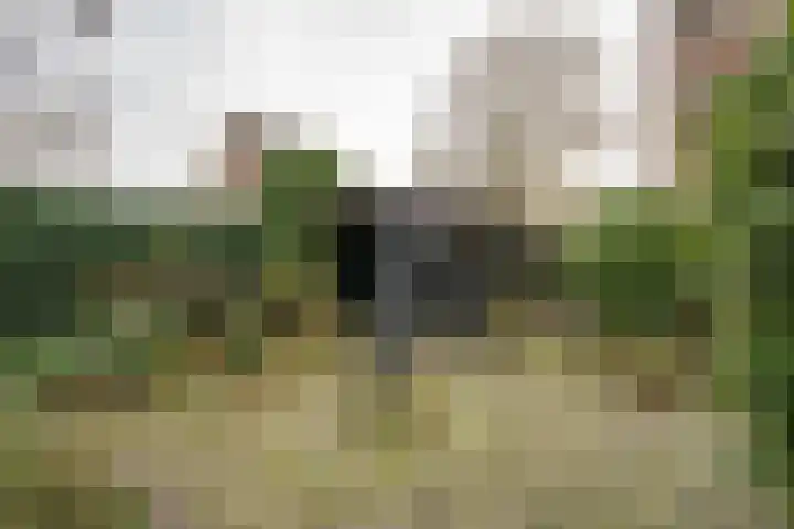 Weidsteeg 14 Culemborg thumbnail 65