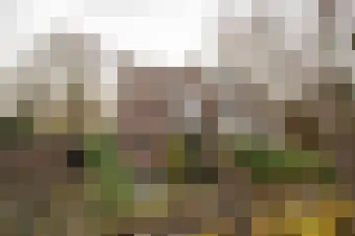 Weidsteeg 14 Culemborg thumbnail 68