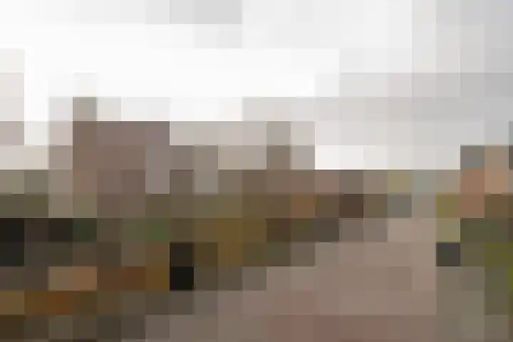 Weidsteeg 14 Culemborg thumbnail 69
