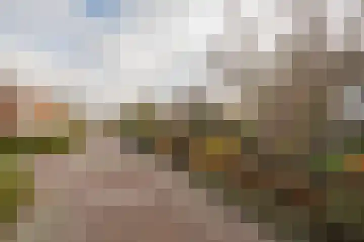 Weidsteeg 14 Culemborg thumbnail 70