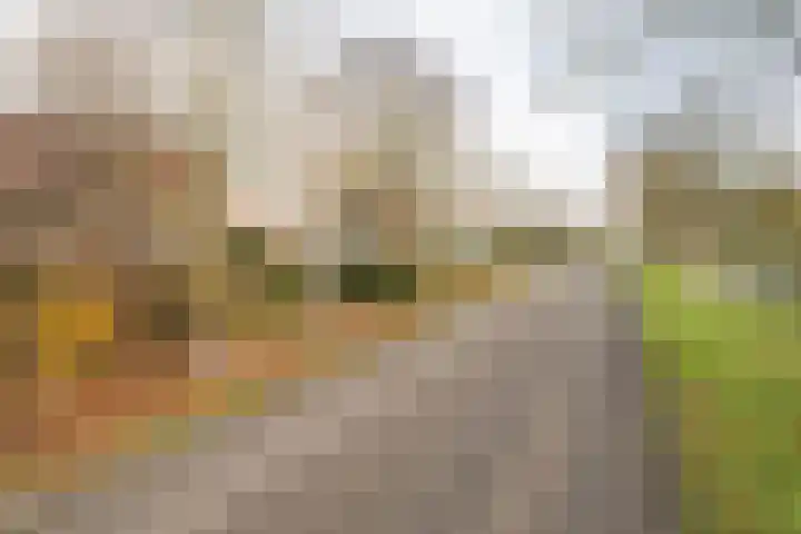 Weidsteeg 14 Culemborg thumbnail 71