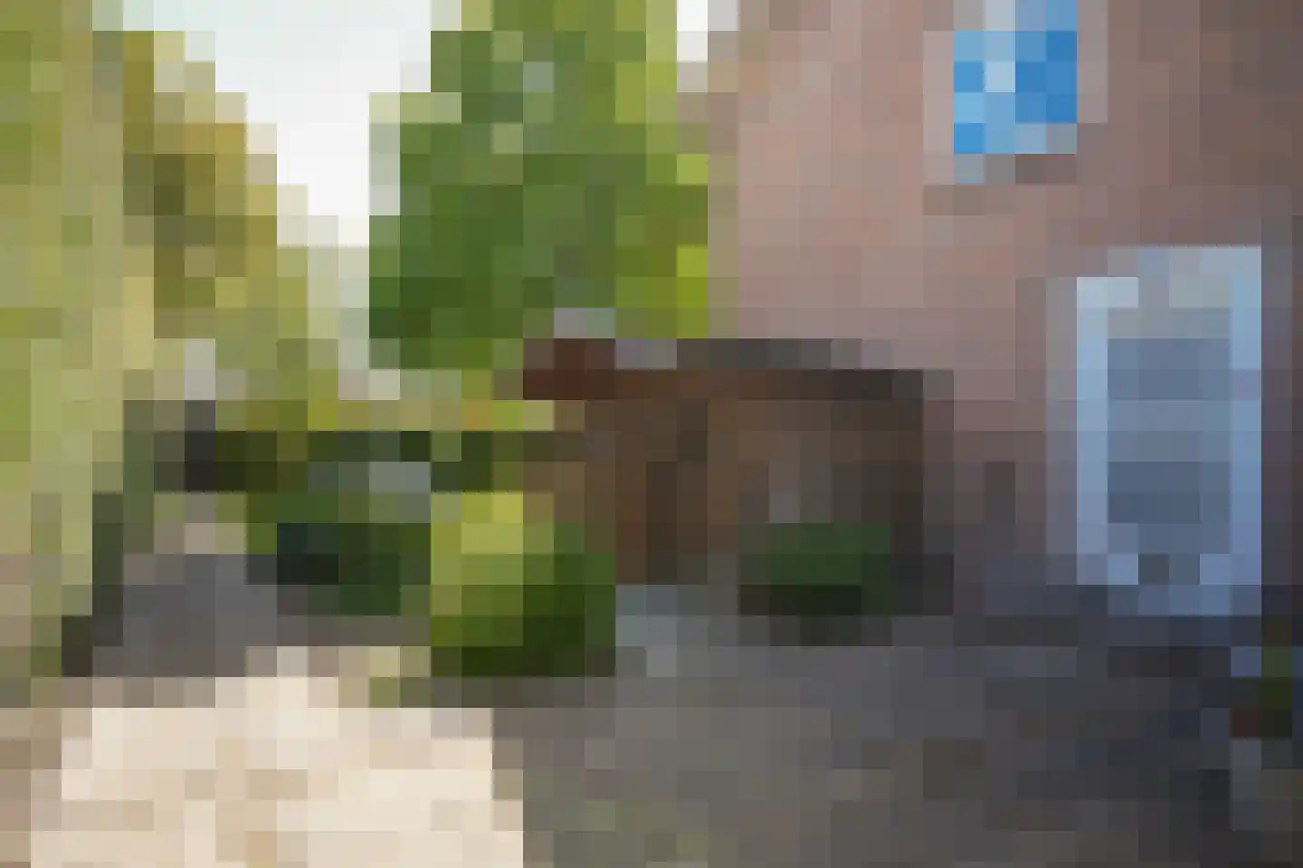 Weidsteeg 24 Culemborg thumbnail 41