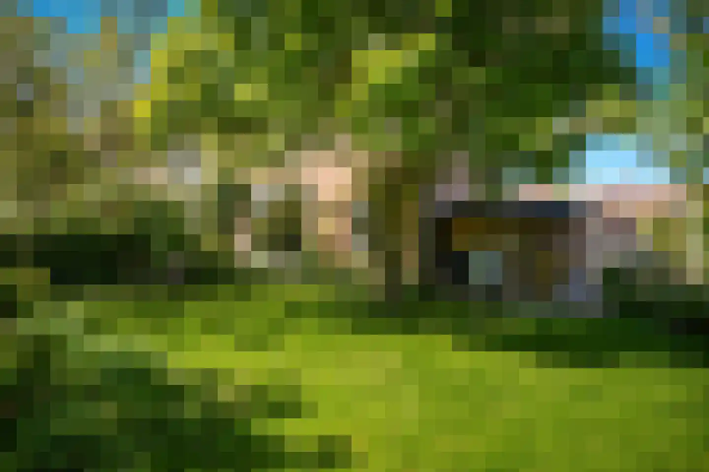 Weidsteeg 24 Culemborg thumbnail 42